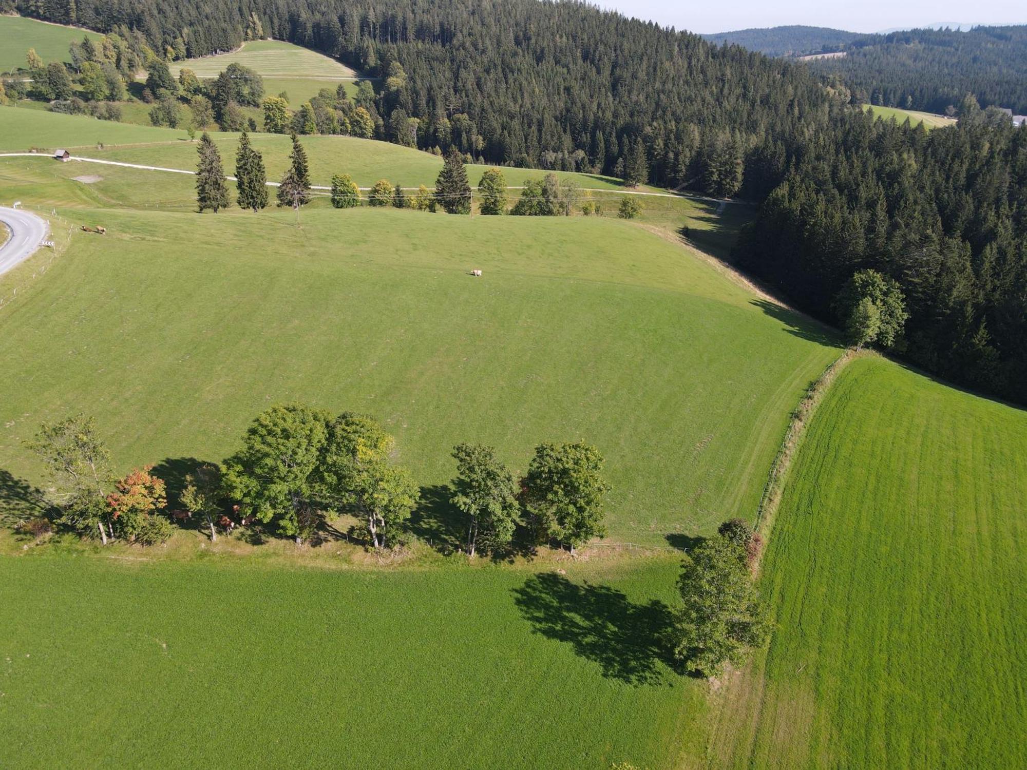 Biohof Kroisleitner Sankt Jakob im Walde Eksteriør billede
