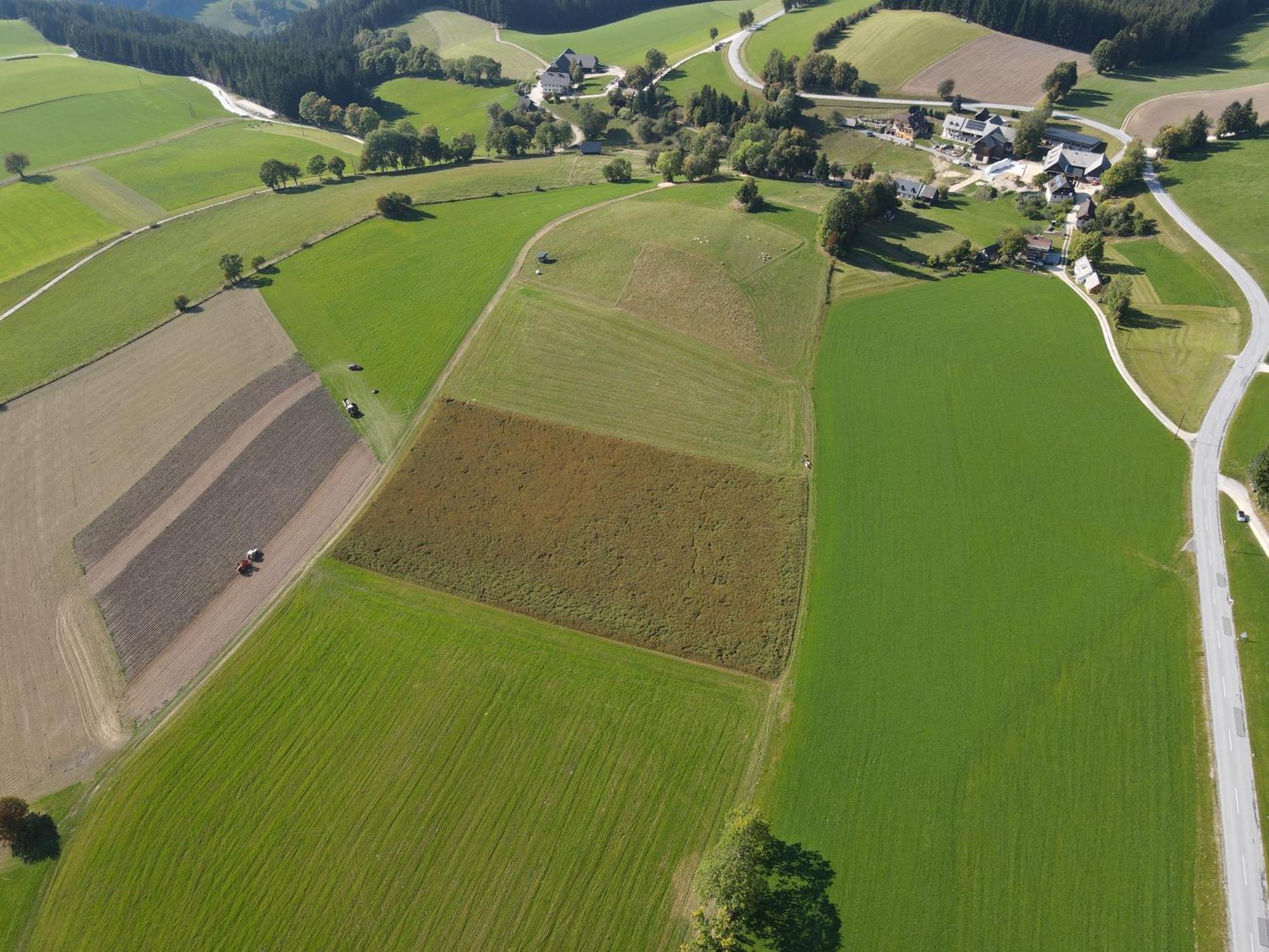 Biohof Kroisleitner Sankt Jakob im Walde Eksteriør billede