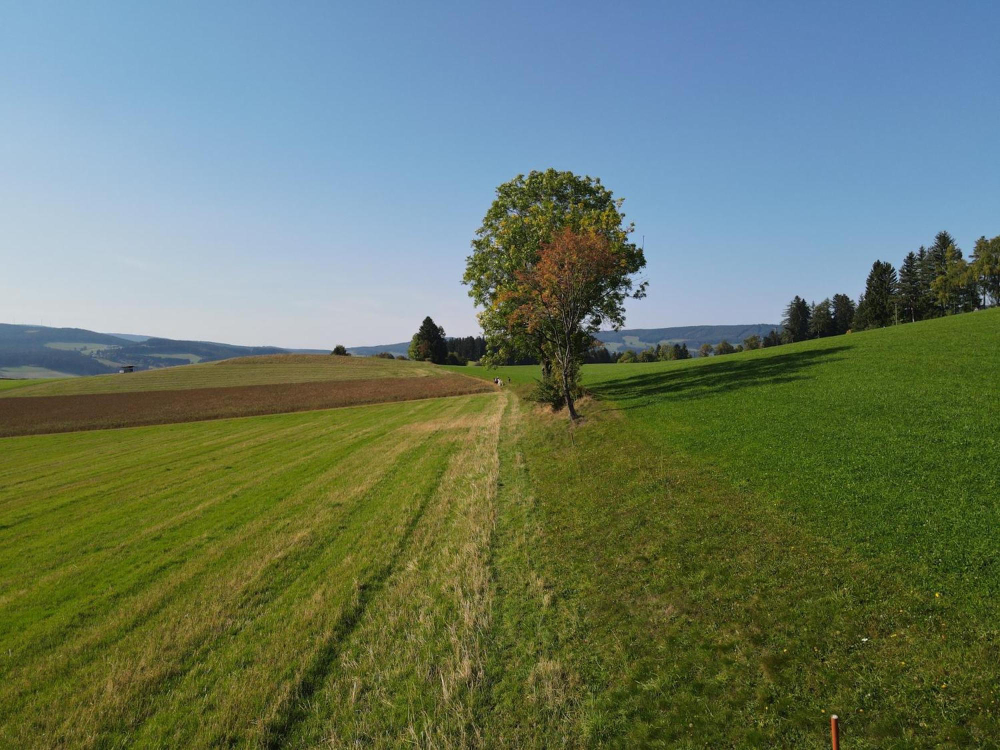 Biohof Kroisleitner Sankt Jakob im Walde Eksteriør billede